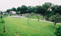 F1030026.JPG